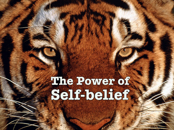 beautiful_tiger_eyes_wallpaper