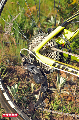 TREADmtbMomsenAL529-4