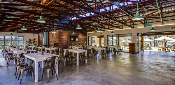 Cog & Sprocket indside hamishNIVEN-Photography_78A3770xFuse-Edit_HR