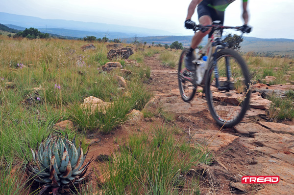 TreadMTB-MountGraceTrail-74