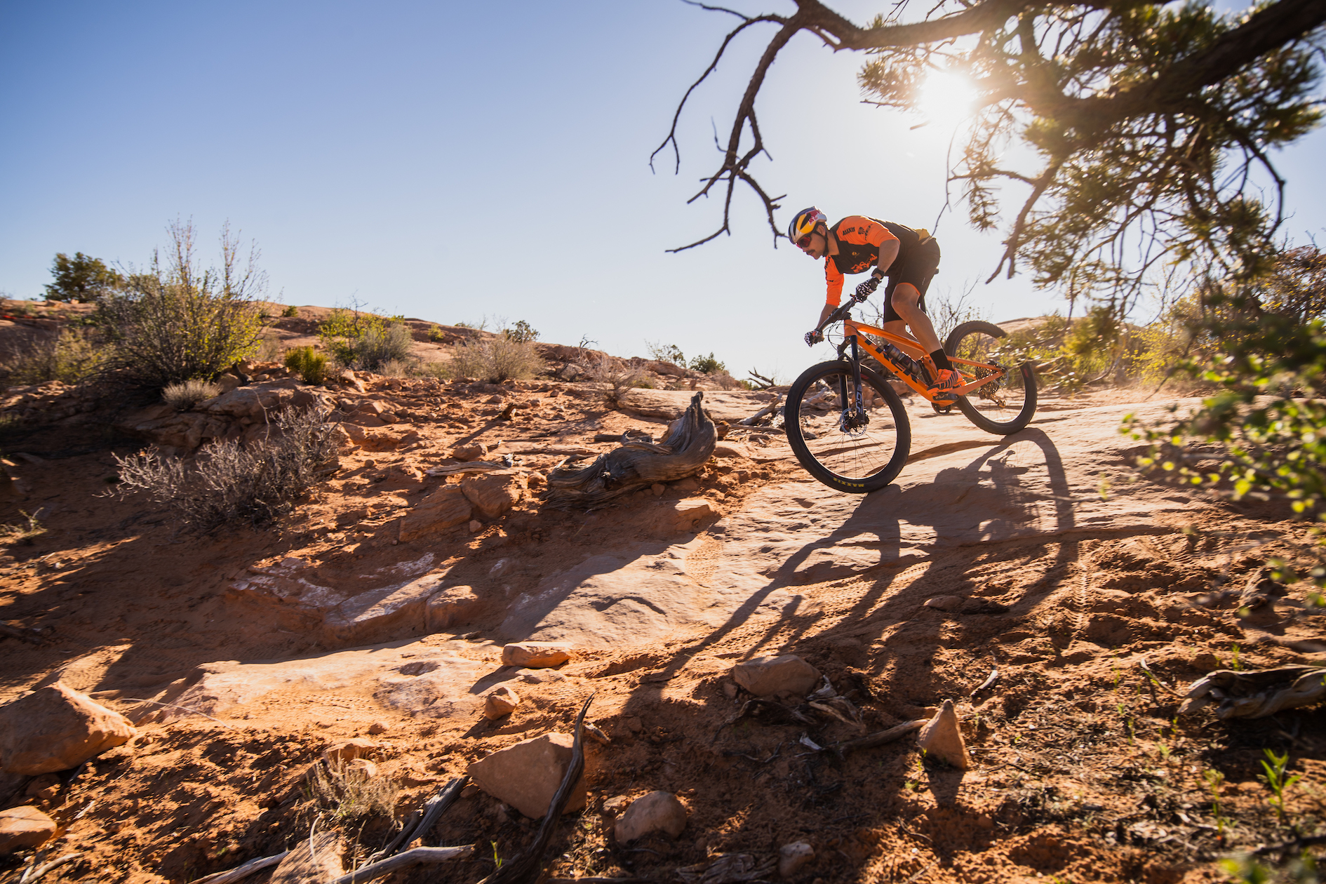 top trek bikes